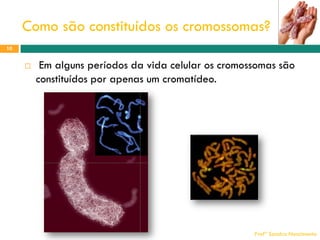Como são constituídos os cromossomas?
10



Em alguns períodos da vida celular os cromossomas são
constituídos por apenas um cromatídeo.

Profª Sandra Nascimento

 