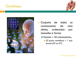 Cariótopo
12



Conjunto de todos os
cromossomas de uma
célula, ordenados por
tamanho e forma


Homem – 46 cromossomas,


22 pares somáticos + 1 par
sexual (XX ou XY)

Profª Sandra Nascimento

 