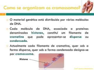 Como se organizam os cromossomas?
3







O material genético está distribuído por várias moléculas
de DNA.
Cada molécula de DNA, associada a proteínas
denominadas histonas, constitui um filamento de
cromatina que pode apresentar-se dispersa ou
condensada.
Actualmente cada filamento de cromatina, quer sob a
forma dispersa, quer sob a forma condensada designa-se
por cromossoma.
Histona

Profª Sandra Nascimento

 