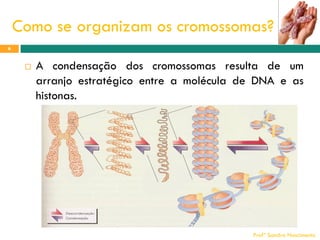 Como se organizam os cromossomas?
6



A condensação dos cromossomas resulta de um
arranjo estratégico entre a molécula de DNA e as
histonas.

Profª Sandra Nascimento

 