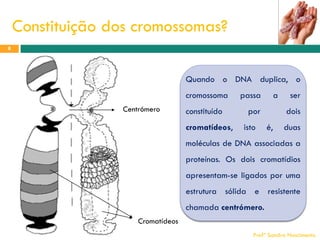 Constituição dos cromossomas?
8

Quando o DNA duplica, o
cromossoma
Centrómero

constituído
cromatídeos,

passa

a

por
isto

ser

dois
é,

duas

moléculas de DNA associadas a

proteínas. Os dois cromatídios
apresentam-se ligados por uma
estrutura sólida e resistente
chamada centrómero.
Cromatídeos
Profª Sandra Nascimento

 
