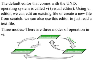 Vi Vi Editor Unit 4 Power point presentation | PPTX