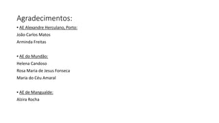 Agradecimentos:
▪ AE Alexandre Herculano, Porto:
João Carlos Matos
Arminda Freitas
▪ AE do Mundão:
Helena Candoso
Rosa Maria de Jesus Fonseca
Maria do Céu Amaral
▪ AE de Mangualde:
Alzira Rocha
 