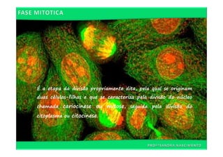 É a etapa da divisão propriamente dita, pela qual se originam
duas células-filhas e que se caracteriza pela divisão do núcleo
chamada cariocinese ou mitose, seguida pela divisão do

citoplasma ou citocinese.
 