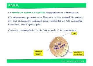 A membrana nuclear e os nucléolos desorganizam-se / desaparecem.

 Os cromossomas prendem-se a filamentos do fuso acromático, através
dos seus centrómeros, enquanto outros filamentos do fuso acromático
ficam livres, indo de pólo a pólo.

 Não ocorre alteração do teor de DNA nem do nº de cromossomas.
 
