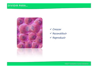 Crescer
Reconstituir
Reproduzir
 