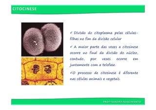 Divisão do citoplasma pelas células-
filhas no fim da divisão celular

  A maior parte das vezes a citosinese
ocorre no final da divisão do núcleo,
contudo,    por     vezes    ocorre   em
juntamente com a telofase.

 O processo de citosinese é diferente
nas células animais e vegetais.
 