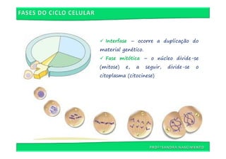 Interfase – ocorre a duplicação do
material genético.
  Fase mitótica – o núcleo divide-se
(mitose)   e,   a    seguir,   divide-se   o
citoplasma (citocinese)
 