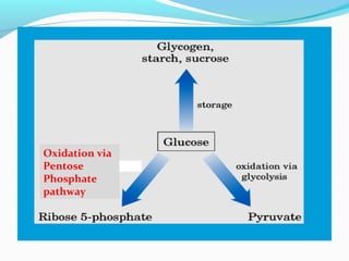 Oxidation via
Pentose
Phosphate
pathway
 
