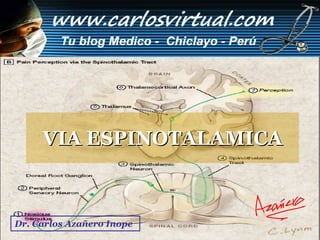 VIA ESPINOTALAMICA



Dr. Carlos Azañero InopeCarlos A. Azañero Inope
                      Dr.
 