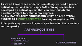 Vision In Arthropods Using Hexagonal Shaped Ommatidium Presentation | PPTX