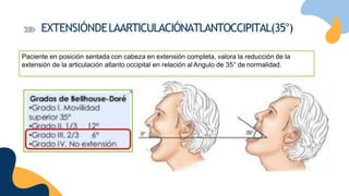 Paciente en posición sentada con cabeza en extensión completa, valora la reducción de la
extensión de la articulación atlanto occipital en relación al Angulo de 35° de normalidad.
EXTENSIÓNDELAARTICULACIÓNATLANTOCCIPITAL(35°)
 
