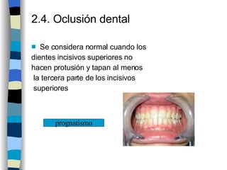 2.4. Oclusión dental Se considera normal cuando los  dientes incisivos superiores no  hacen protusión y tapan al menos la tercera parte de los incisivos  superiores prognatismo 