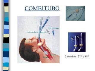 COMBITUBO 2 tamaños : 37F y 41F 
