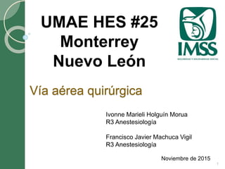 Vía aérea quirúrgica
Noviembre de 2015
UMAE HES #25
Monterrey
Nuevo León
1
Ivonne Marieli Holguín Morua
R3 Anestesiología
Francisco Javier Machuca Vigil
R3 Anestesiología
 