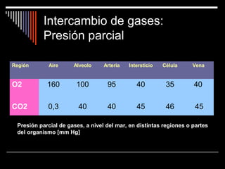 Intercambio de gases:
Presión parcial
Región Aire Alveolo Arteria Intersticio Célula Vena
O2 160 100 95 40 35 40
CO2 0,3 40 40 45 46 45
Presión parcial de gases, a nivel del mar, en distintas regiones o partes
del organismo [mm Hg]
 
