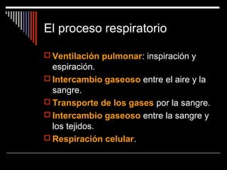El proceso respiratorio
 Ventilación pulmonar: inspiración y
espiración.
 Intercambio gaseoso entre el aire y la
sangre.
 Transporte de los gases por la sangre.
 Intercambio gaseoso entre la sangre y
los tejidos.
 Respiración celular.
 