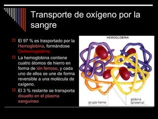 Transporte de oxígeno por la
sangre
 El 97 % es trasportado por la
Hemoglobina, formándose
Oxihemoglobina
 La hemoglobina contiene
cuatro átomos de hierro en
forma de ión ferroso, y cada
uno de ellos se une de forma
reversible a una molécula de
oxígeno.
 El 3 % restante se transporta
disuelto en el plasma
sanguíneo
 
