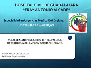 HOSPITAL CIVIL DE GUADALAJARA
“FRAY ANTONIO ALCADE”
VIA AEREA: ANATOMIA, EJES, DIFICIL, FALLIDA,
DE CHOQUE. MALLAMPATIY CORMACK-LEHANE.
Universidad de Guadalajara.
NURIA AYALA DELGADILLO.
Residente de primer año.
 
