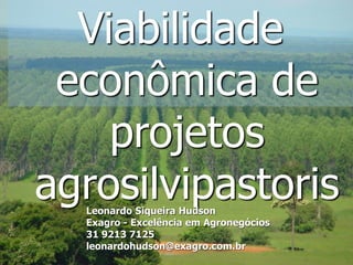 Viabilidade
 econômica de
    projetos
agrosilvipastoris
  Leonardo Siqueira Hudson
  Exagro - Excelência em Agronegócios
  31 9213 7125
  leonardohudson@exagro.com.br          1
 