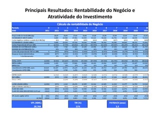 Principais Resultados: Rentabilidade do Negócio e
           Atratividade do Investimento
 