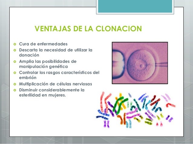 Resultado de imagen para ventajas de la clonación