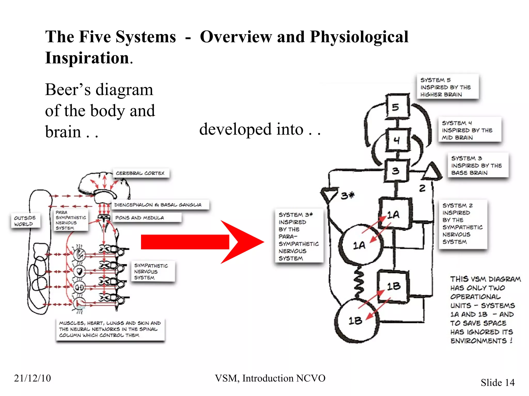 The Five Systems  -  Overview and Physiological Inspiration . Beer’s diagram of the body and brain . .  developed into . .  