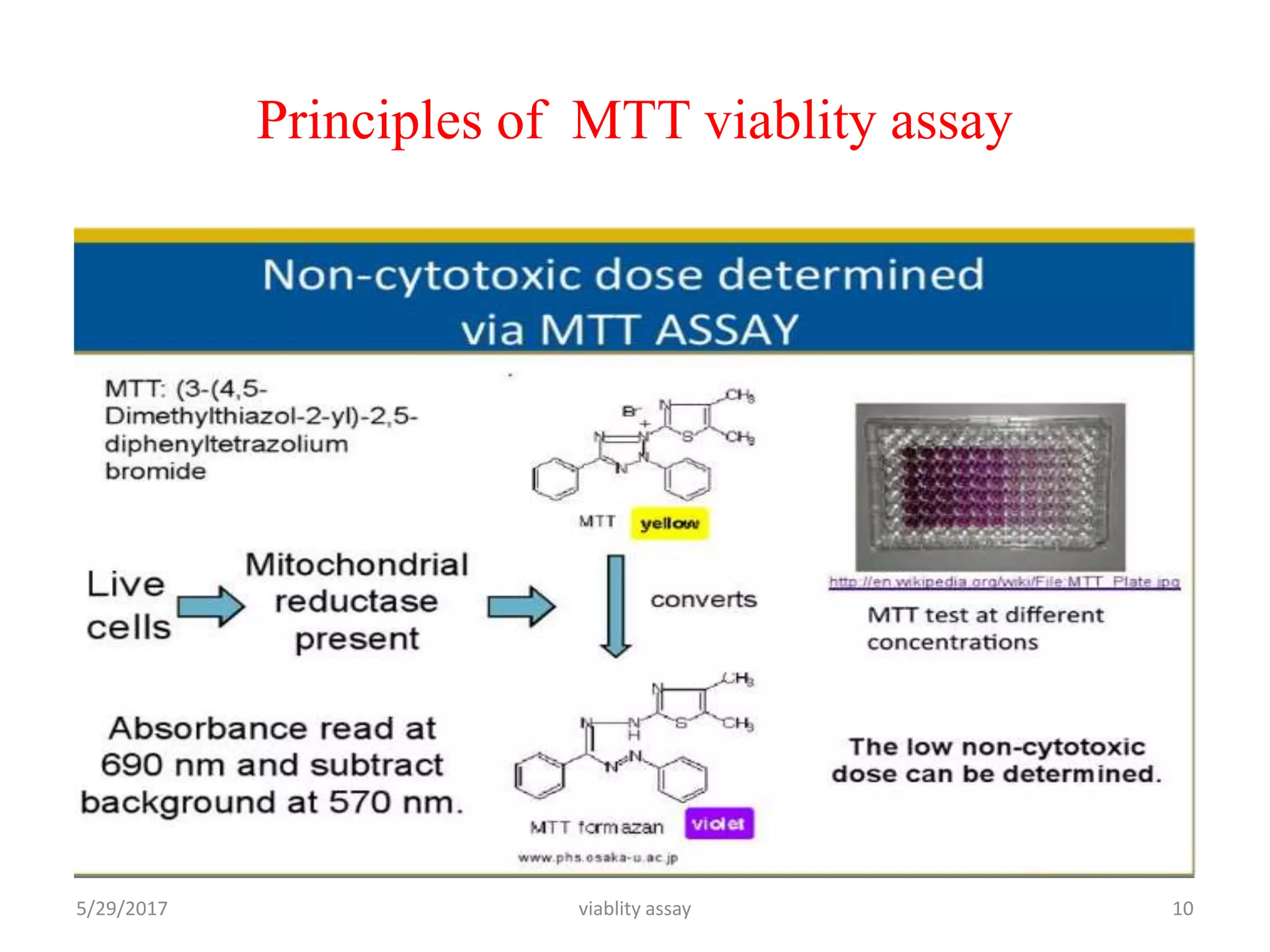 Principles of MTT viablity assay
5/29/2017 viablity assay 10
 