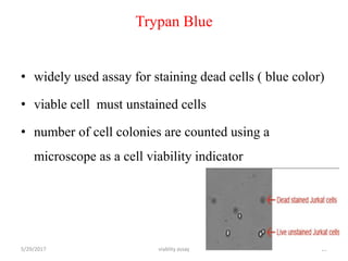 Trypan Blue
• widely used assay for staining dead cells ( blue color)
• viable cell must unstained cells
• number of cell colonies are counted using a
microscope as a cell viability indicator
5/29/2017 viablity assay 16
 