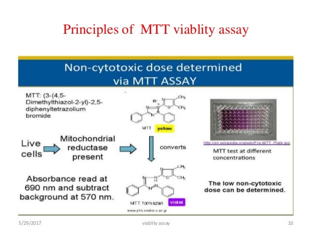 MTT ASSAY PRINCIPLE PDF DOWNLOAD MTT ASSAY PRINCIPLE PDF DOWNLOAD