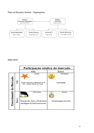 47
Plano de Recursos Humano - Organograma
Matriz BCG:
 