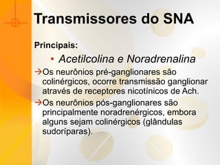 Transmissores do SNA Principais: Acetilcolina e Noradrenalina Os neurônios pré-ganglionares são colinérgicos, ocorre transmissão ganglionar através de receptores nicotínicos de Ach. Os neurônios pós-ganglionares são principalmente noradrenérgicos, embora alguns sejam colinérgicos (glândulas sudoríparas). 