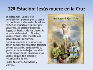 12º Estación: Jesús muere en la Cruz
Te adoramos, Señor, y te
bendecimos, porque por tu santa
cruz redimiste al mundo. Te adoro,
mi Señor, muerto en la Cruz por
Salvarme. Te adoro y beso tus
llagas, las heridas de los clavos, la
lanzada del costado… Gracias,
Señor, gracias! Has muerto por
salvarme, por salvarnos.
Dame responder a tu amor con
amor, cumplir tu Voluntad, trabajar
por mi salvación, ayudado de tu
gracia. Y dame trabajar con ahínco
por la salvación de mis hermanos.
Señor, pequé, ten piedad y
misericordia de mí.
Padre Nuestro, Ave María y
Gloria…
 