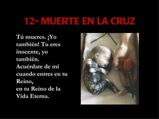 12- MUERTE EN LA CRUZ Tú mueres. ¡Yo también! Tu eres inocente, yo también.  Acuérdate de mí cuando entres en tu Reino, en tu Reino de la Vida Eterna. 