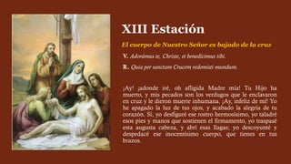 V. Adorámus te, Christe, et benedícimus tibi.
R. Quia per sanctam Crucem redemísti mundum.
¡Ay! ¡adonde iré, oh afligida Madre mía! Tu Hijo ha
muerto, y mis pecados son los verdugos que le enclavaron
en cruz y le dieron muerte inhumana. ¡Ay, infeliz de mí! Yo
he apagado la luz de tus ojos, y acabado la alegría de tu
corazón. Sí, yo desfiguré ese rostro hermosísimo, yo taladré
esos pies y manos que sostienen el firmamento, yo traspasé
esta augusta cabeza, y abrí esas llagas; yo descoyunté y
despedacé ese inocentísimo cuerpo, que tienes en tus
brazos.
XIII Estación
El cuerpo de Nuestro Señor es bajado de la cruz
 