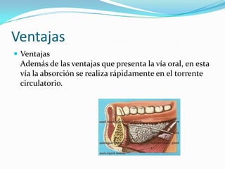 Ventajas
 Ventajas

Además de las ventajas que presenta la vía oral, en esta
vía la absorción se realiza rápidamente en el torrente
circulatorio.

 