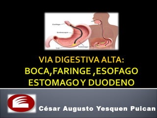 Dr. César Augusto Yesquen Puican
 
