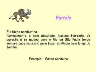 Baitola É a bicha nordestina. Normalmente é bem abestado. Nasceu florzinha do agreste e se mudou para o Rio ou São Paulo (onde sempre cabe mais um) para fazer saliência bem longe da família. Exemplo:  Edson Cordeiro 