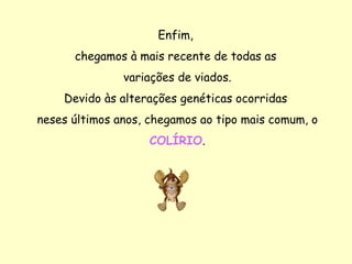 Enfim,  chegamos à mais recente de todas as  variações de viados. Devido às alterações genéticas ocorridas  neses últimos anos, chegamos ao tipo mais comum, o COLÍRIO . 