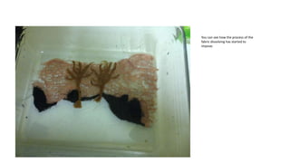 You can see how the process of the
fabric dissolving has started to
impove.

 