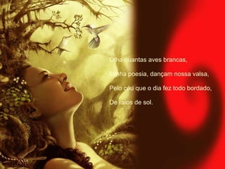 Olha quantas aves brancas, Minha poesia, dançam nossa valsa, Pelo céu que o dia fez todo bordado, De raios de sol. 