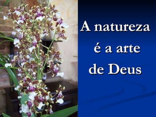 A natureza  é a arte de Deus   
