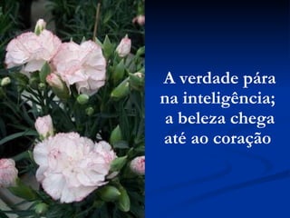A verdade pára na inteligência;  a beleza chega até ao coração   
