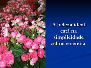 A beleza ideal está na simplicidade calma e serena   
