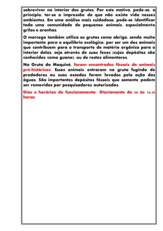 sobreviver no interior das grutas. Por este motivo, pode-se, a
princípio, ter-se a impressão de que não existe vida nesses
ambientes. Em uma análise mais cuidadosa, pode-se identificar
toda uma comunidade de pequenos animais, especialmente
grilos e aranhas.
O morcego também utiliza as grutas como abrigo, sendo muito
importante para o equilíbrio ecológico, por ser um dos animais
que contribuem para o transporte de matéria orgânica para o
interior delas, seja através de suas fezes (cujos depósitos são
conhecidos como guano), ou de restos alimentares.
Na Gruta do Maquiné, foram encontrados fósseis de animais
pré-históricos. Esses animais entraram na gruta fugindo de
predadores ou suas ossadas foram levadas pela ação das
águas. São importantes depósitos fósseis que somente podem
ser removidos por pesquisadores autorizados.
Dias e horários de funcionamento: Diariamente de 08 às 16:30
horas
 