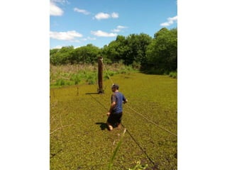 Viagem good fish 18 11