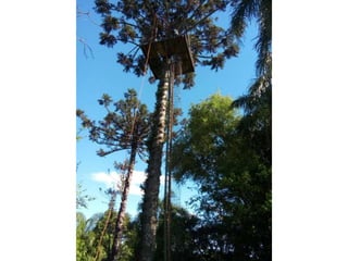 Viagem good fish 18 11