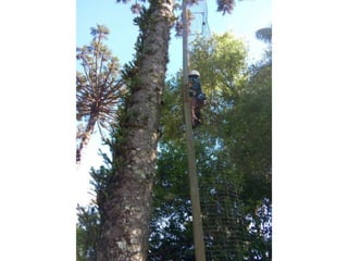 Viagem good fish 18 11