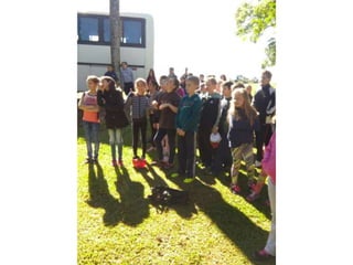 Viagem good fish 18 11