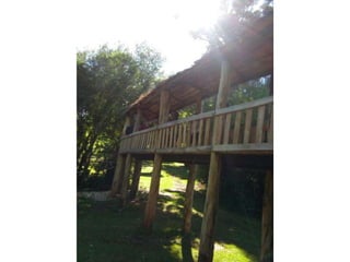 Viagem good fish 18 11